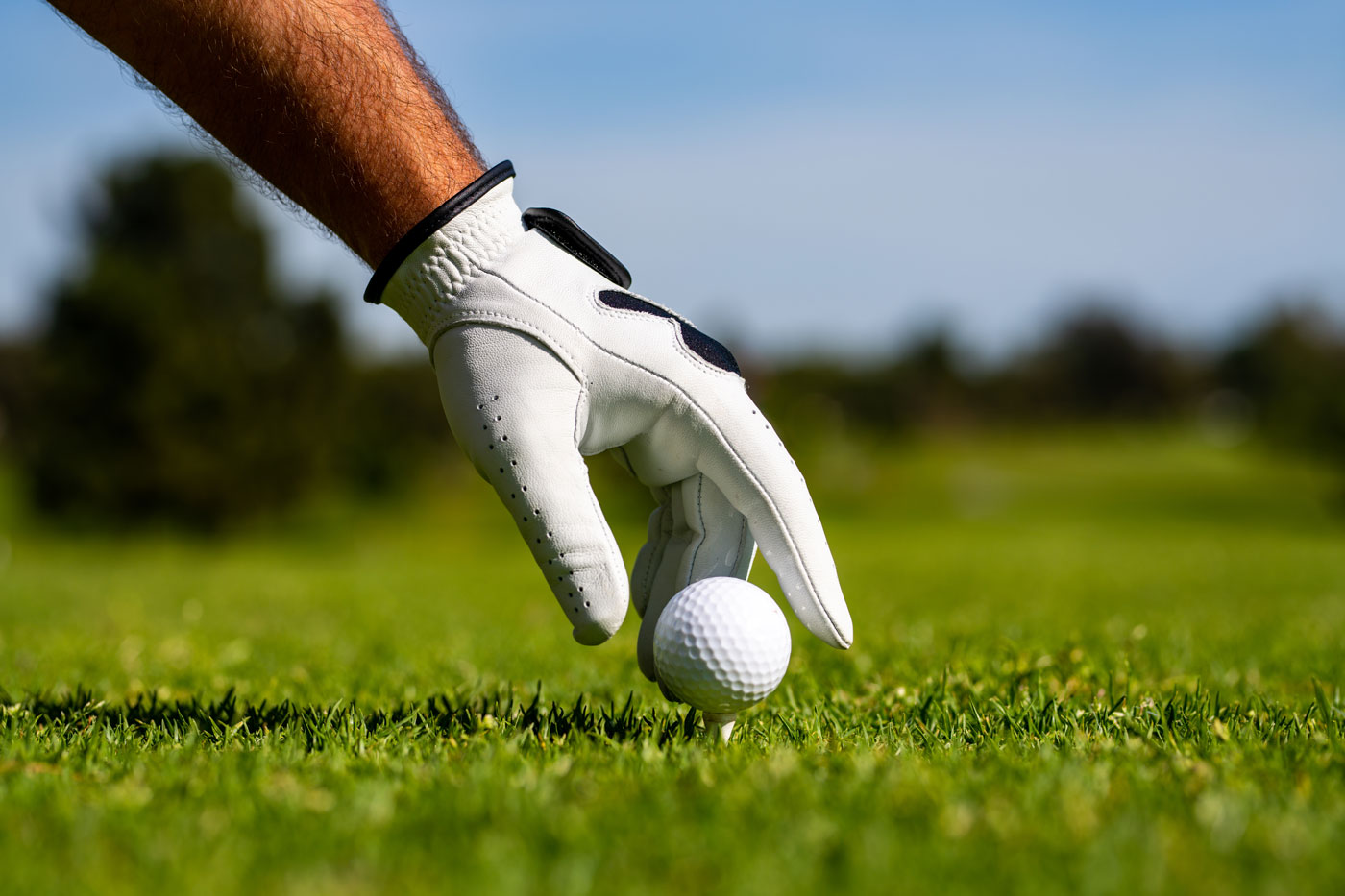 Golf und Golf Physio
